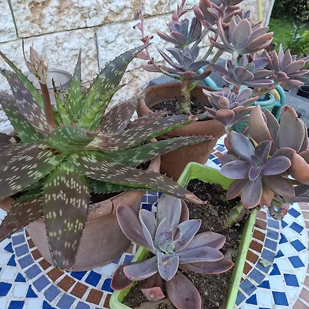 Сasa de vacaciones Casa Belvedere Monzambano