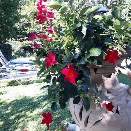 Сasa de vacaciones Casa Belvedere *